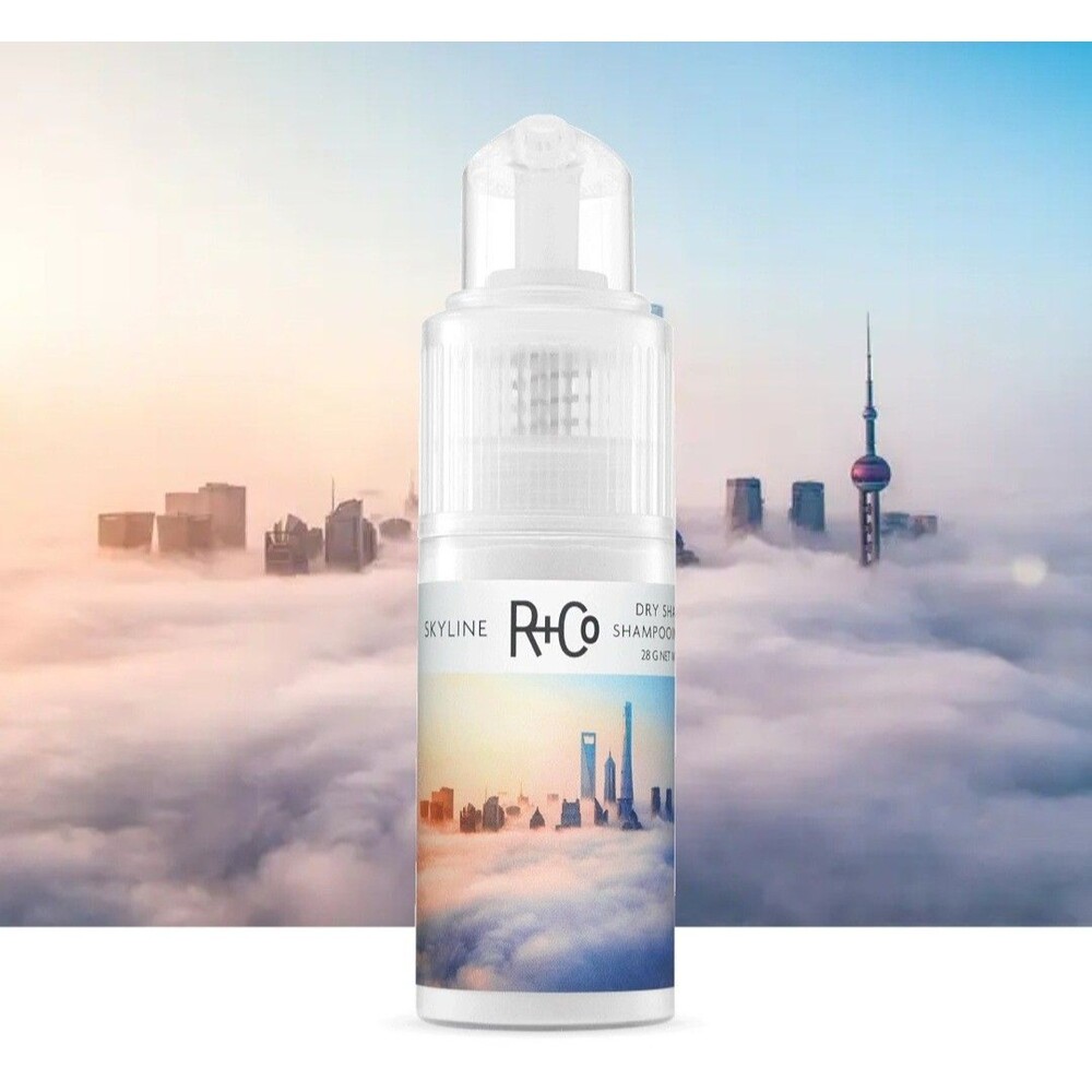R+Co Skyline Dry Shampoo Powder Intense Oil Absorption Revives Volume Texture
